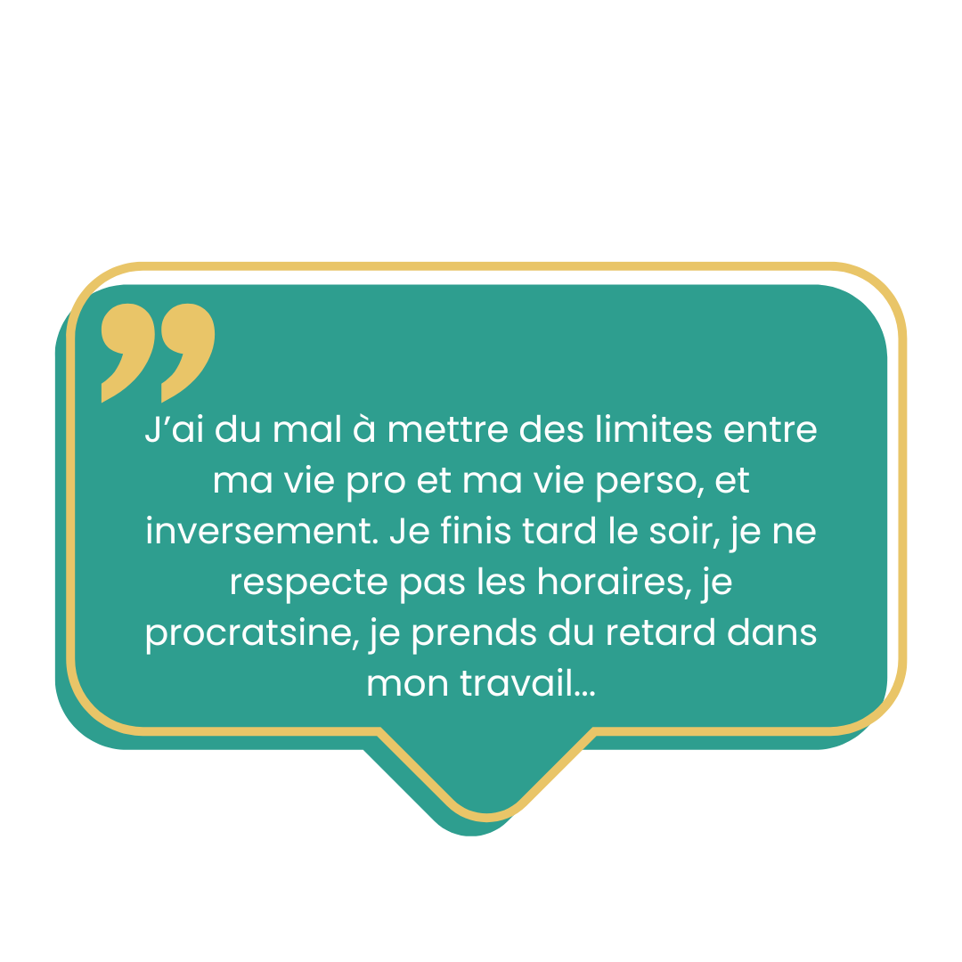 limites vie pro vie perso